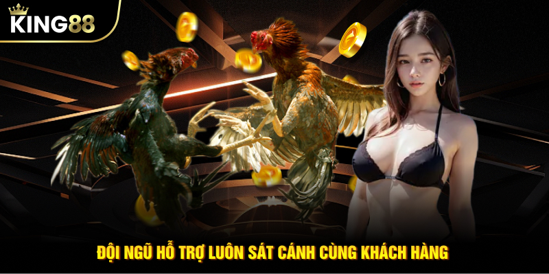 Đội ngũ hỗ trợ luôn sát cánh cùng khách hàng 